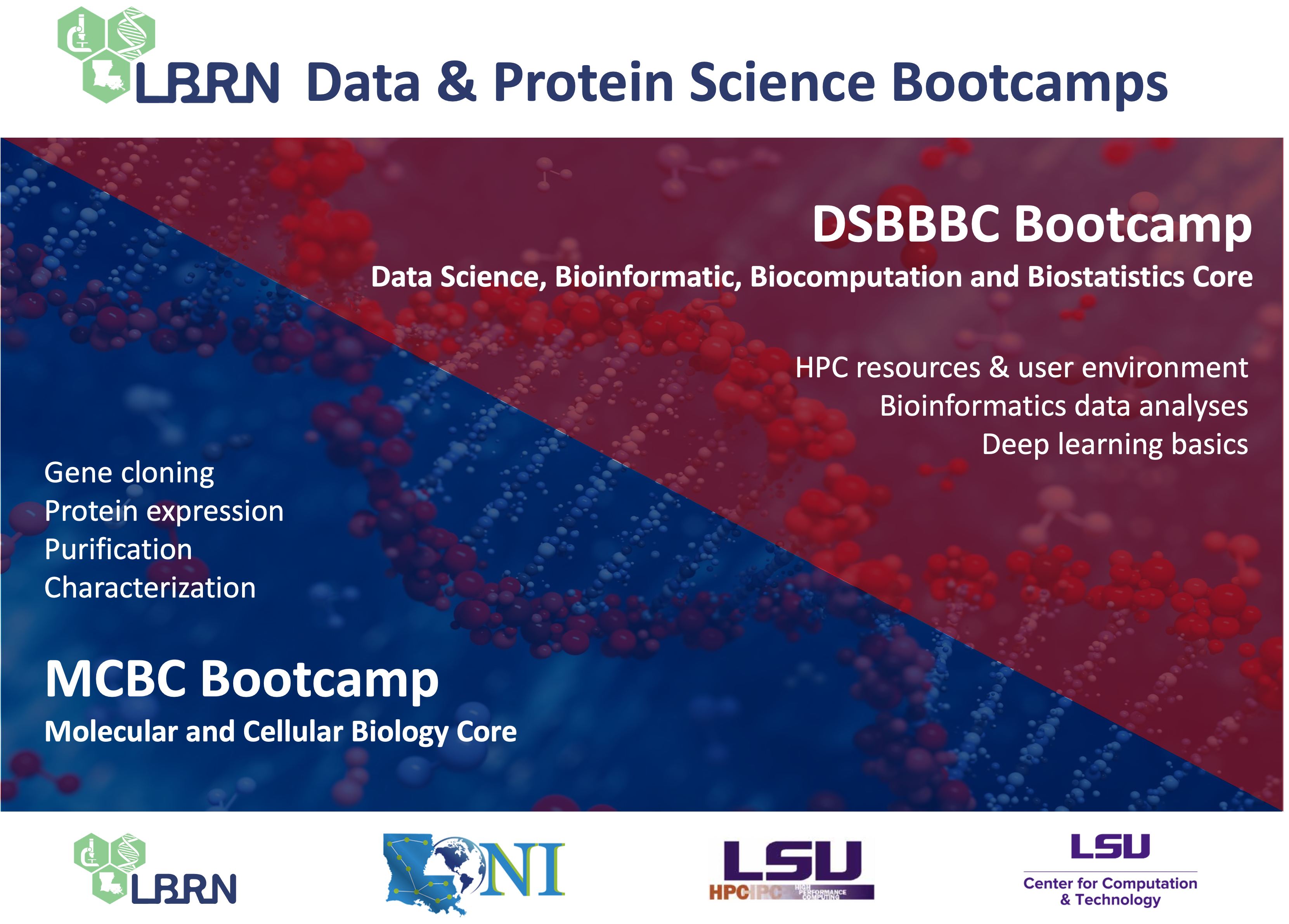6th LBRN Data & Protein Science Bootcamps <p></p> DSBBBC & MCBC Bootcamp