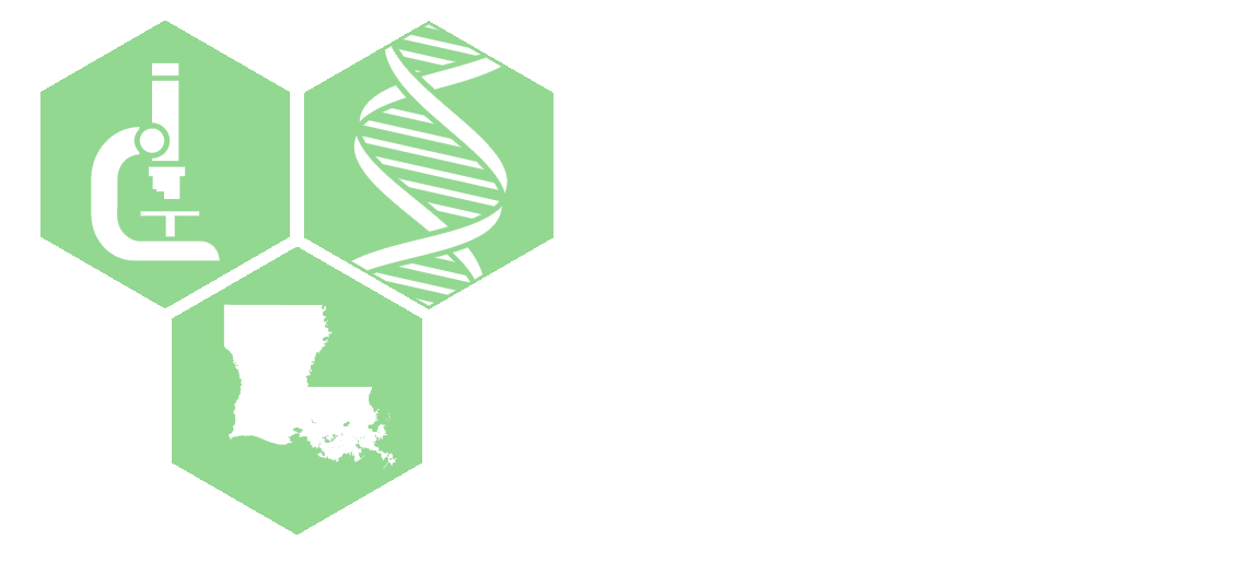 LBRN Logo